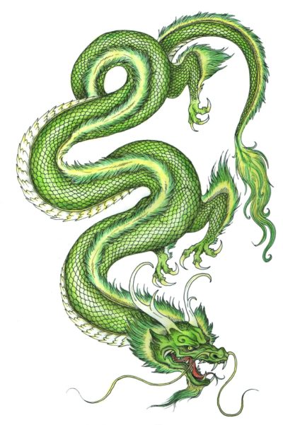 Зеленый дракон