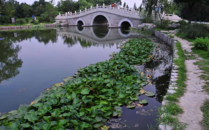 Пекинский ботанический сад