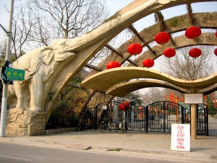 шанхайский зоопарк