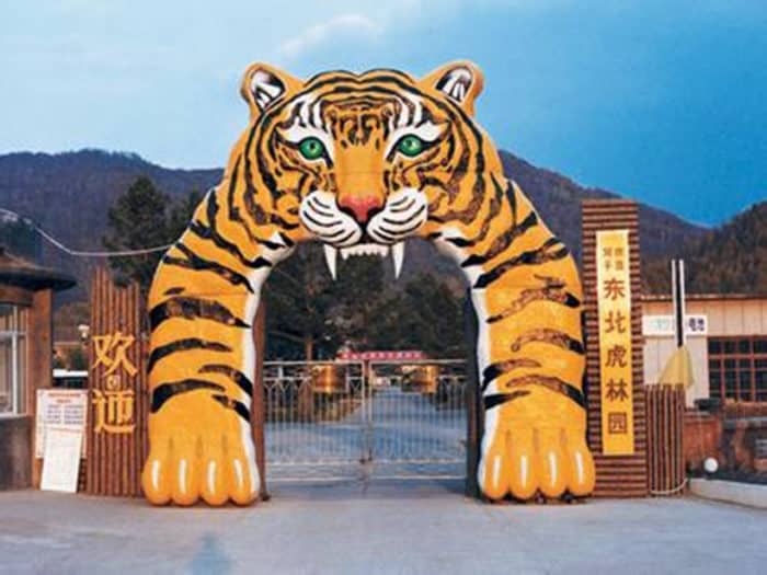 Парк тигров